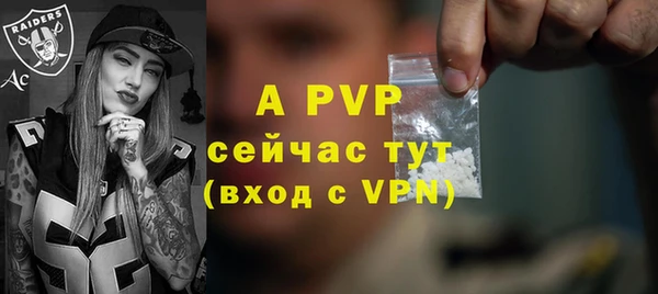 PSILOCYBIN Нязепетровск