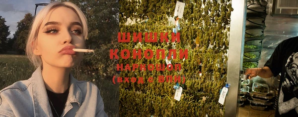 PSILOCYBIN Нязепетровск