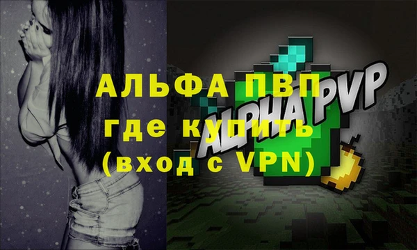 амф Новозыбков
