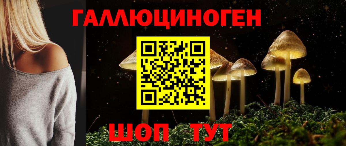 Галлюциногенные грибы Cubensis Полевской