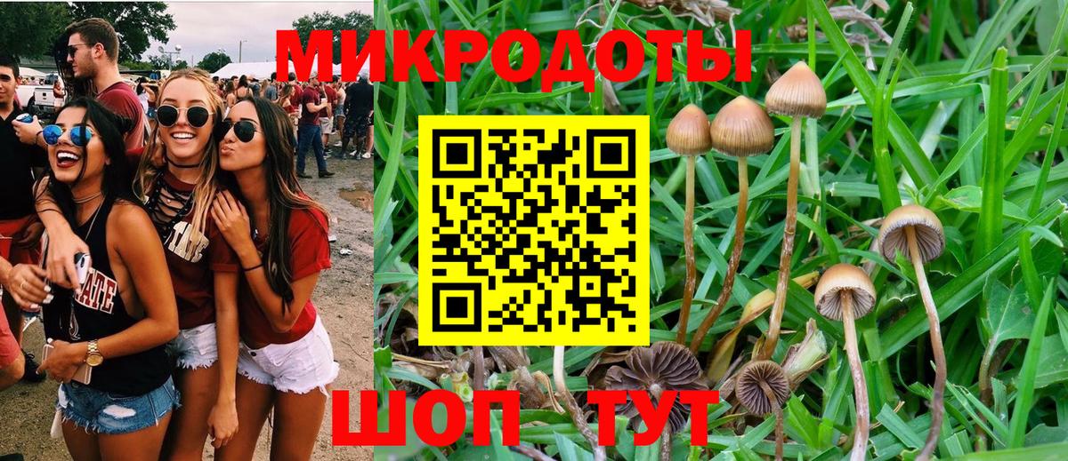 Полевской  Галлюциногенные грибы прущие грибы  Вход с VPN 