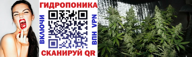 МАРИХУАНА MAZAR закладка Полевской
